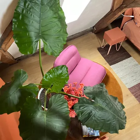 Maison Brunon Bed & Breakfast
